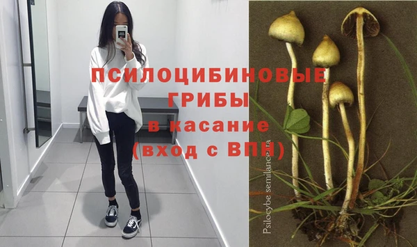 МДПВ Алексеевка