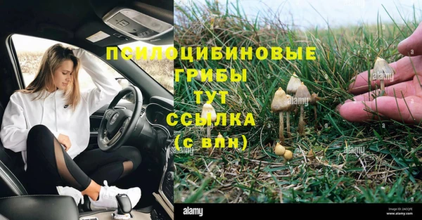 прущие крисы Алексин