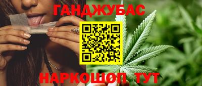 PSILOCYBIN Можга