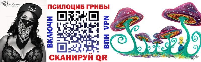 Галлюциногенные грибы Psilocybe  Волгоград 