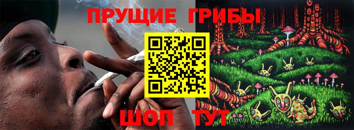цены наркотик  Псилоцибиновые грибы Psilocybine cubensis  Вход с VPN  Волгоград  Псилоцибиновые грибы мицелий 