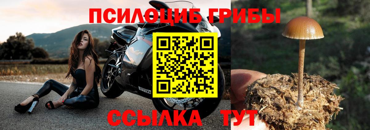 Псилоцибиновые грибы MAGIC MUSHROOMS Волгоград